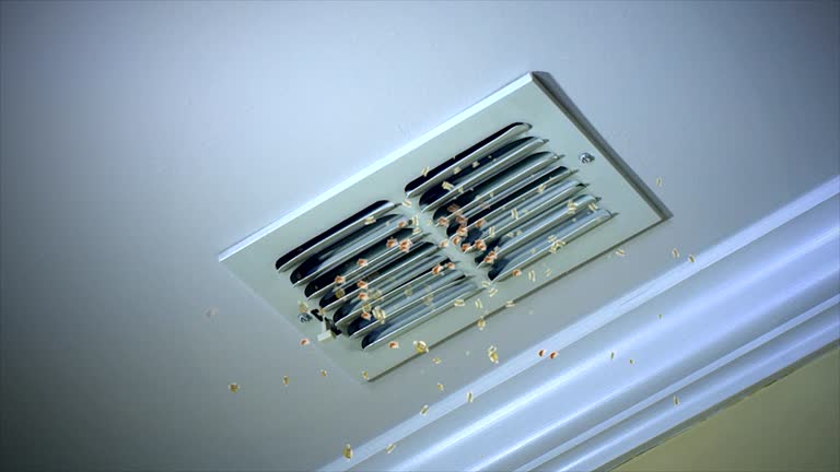 Best Home Air Vent Cleaning  in Ottawa, IL