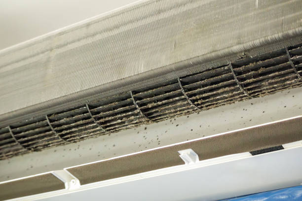 Best Air Vent Cleaning Services  in Ottawa, IL