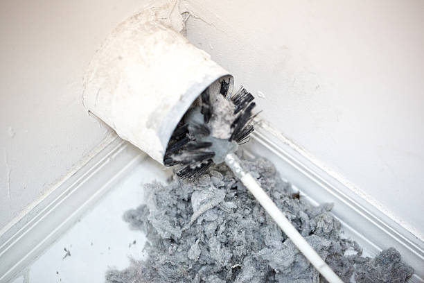 Best Air Duct Sanitizing Services  in Ottawa, IL